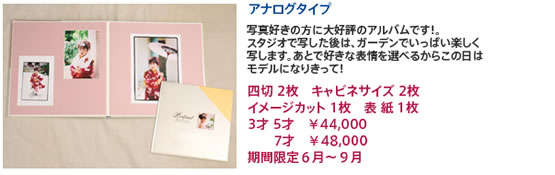 �A�i���O�^�C�v